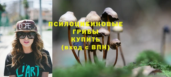 PSILOCYBIN Баксан