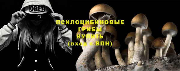 твердый Балабаново