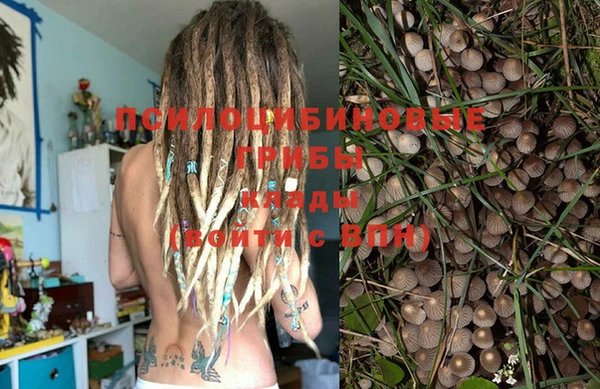 PSILOCYBIN Баксан