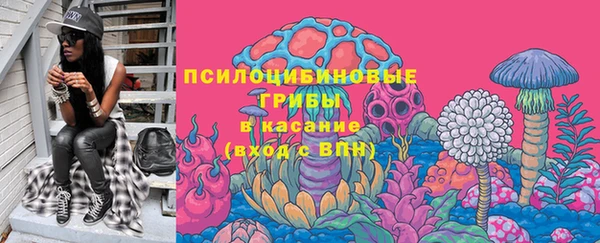 PSILOCYBIN Баксан