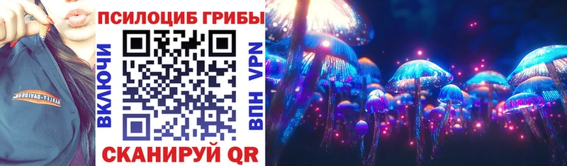 это клад  Корсаков  Псилоцибиновые грибы Psilocybine cubensis 